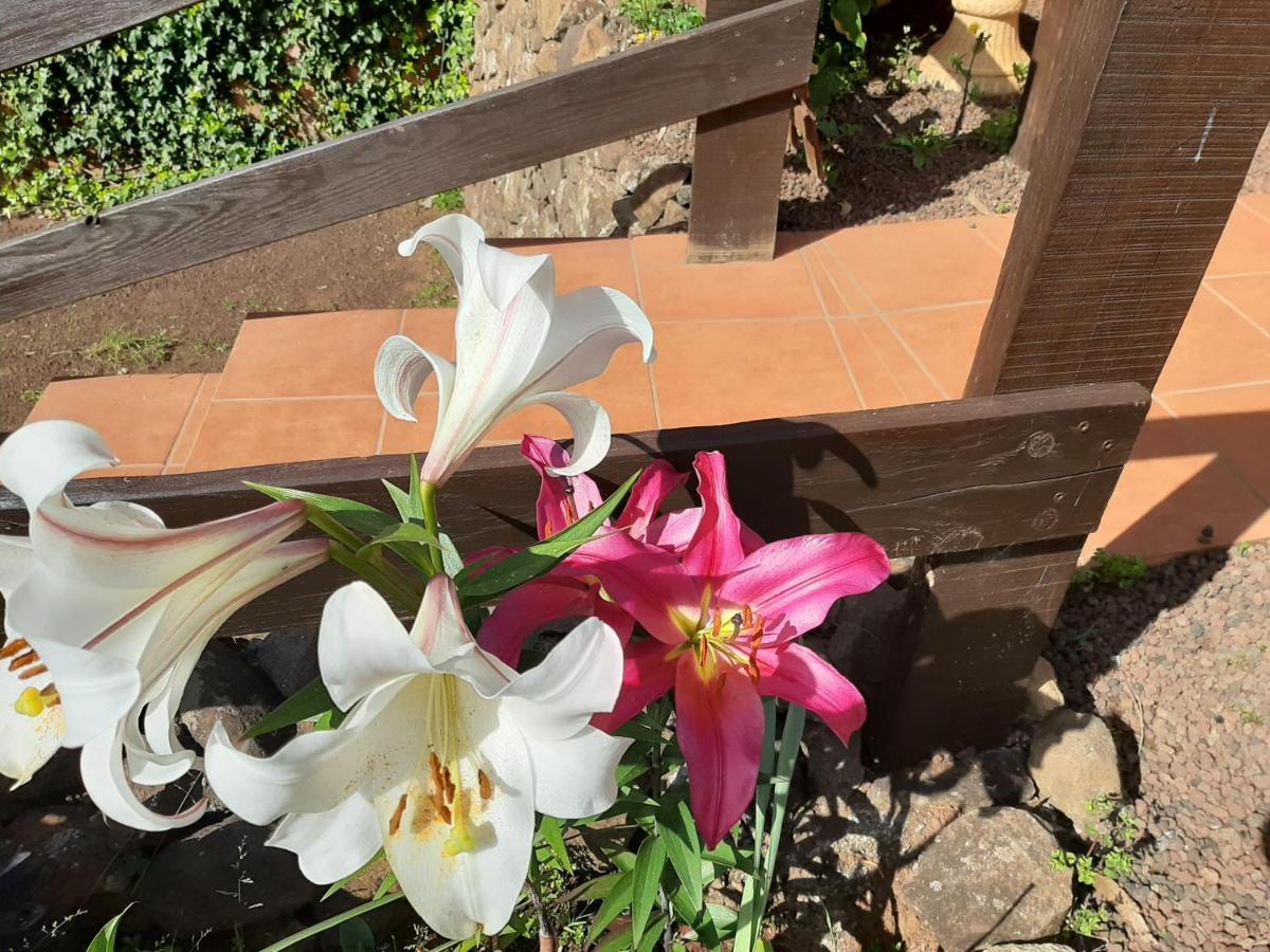 Holiday home Barrancolaurel Moya (Gran Canaria)